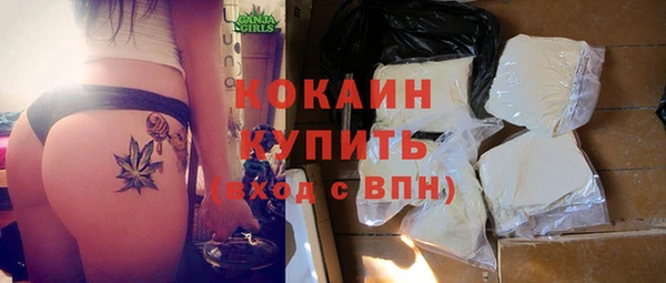 амф Гусиноозёрск