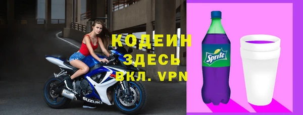 амф Гусиноозёрск