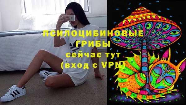 мдма Гусь-Хрустальный