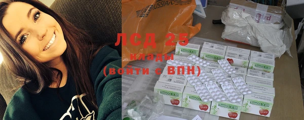 амф Гусиноозёрск