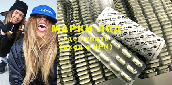 гидра Горнозаводск