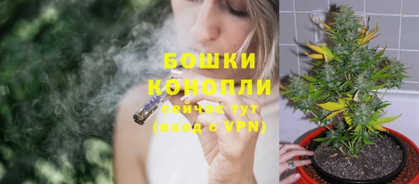 амф Гусиноозёрск